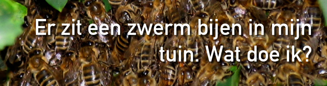 Contact met de Imker